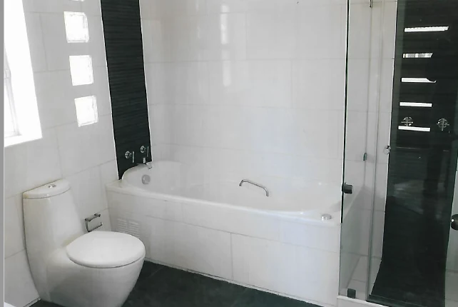 Bañera y columna de ducha
